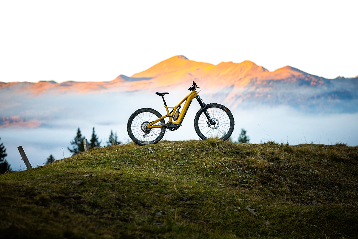 Entering the Super-Premium Segment