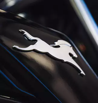 TVS Raider 125 image